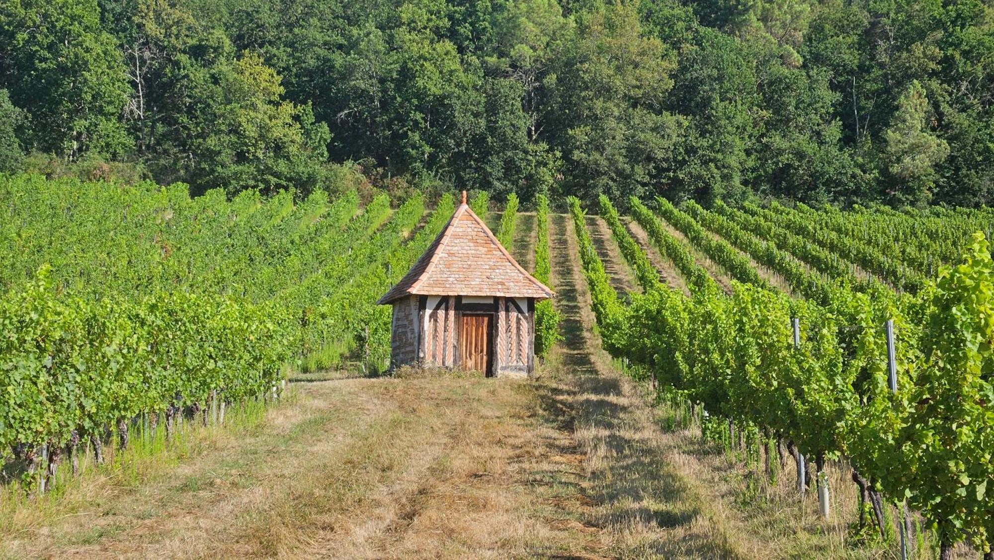 Chambres Et Gites Les Deux Chenes Pres De Bergerac Le Fleix ภายนอก รูปภาพ