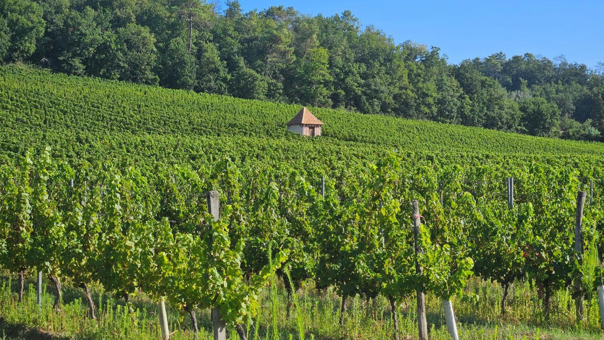 Chambres Et Gites Les Deux Chenes Pres De Bergerac Le Fleix ภายนอก รูปภาพ