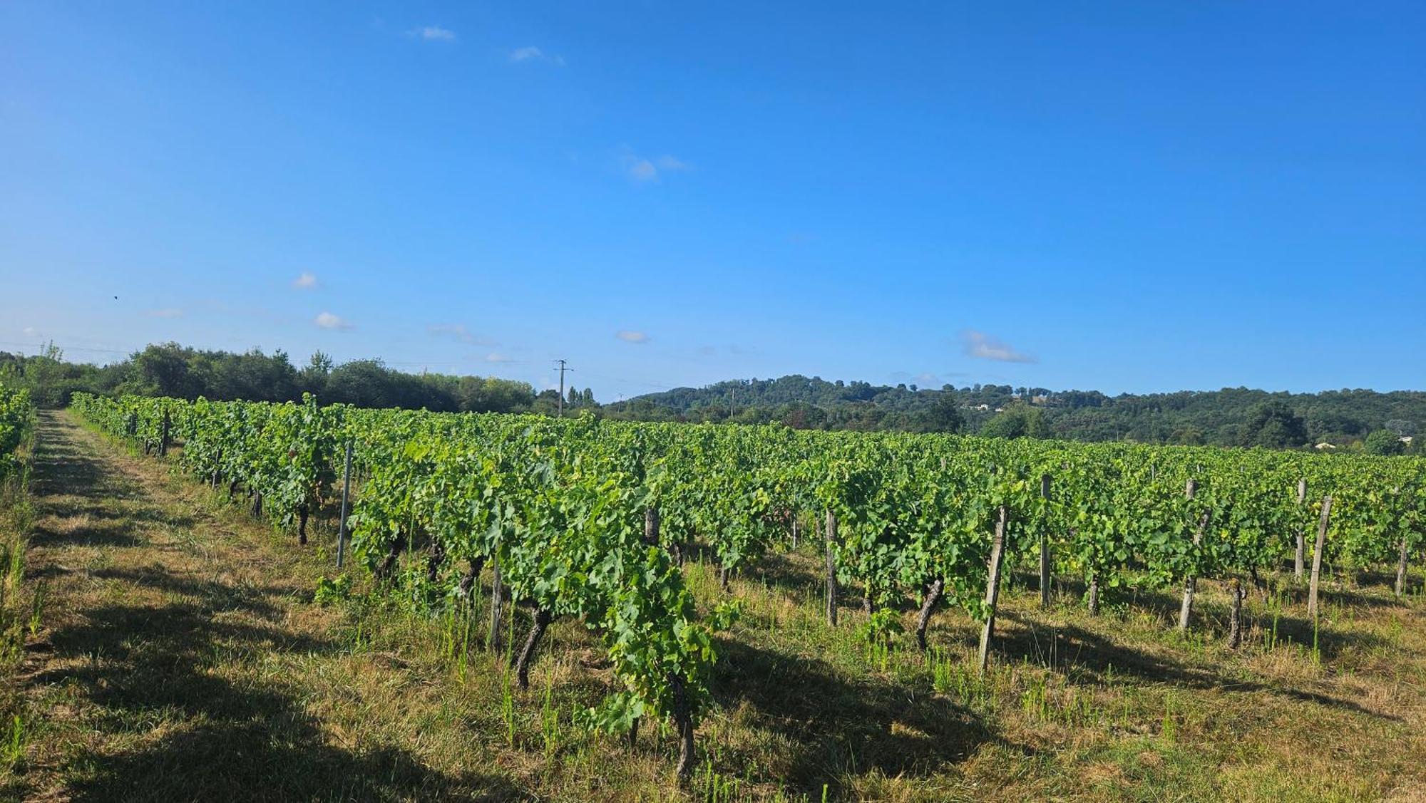 Chambres Et Gites Les Deux Chenes Pres De Bergerac Le Fleix ภายนอก รูปภาพ