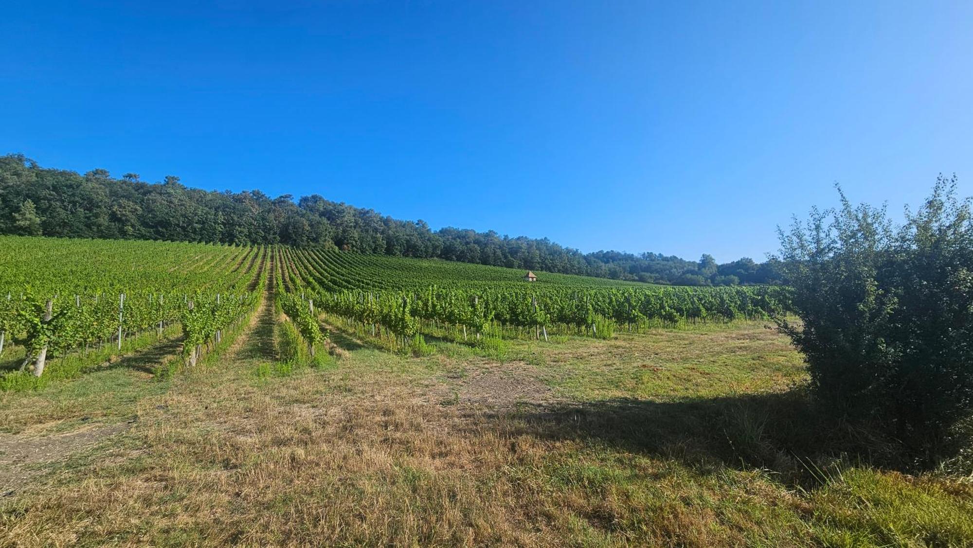 Chambres Et Gites Les Deux Chenes Pres De Bergerac Le Fleix ภายนอก รูปภาพ